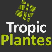 Tropic Plantes CAVEIRAC